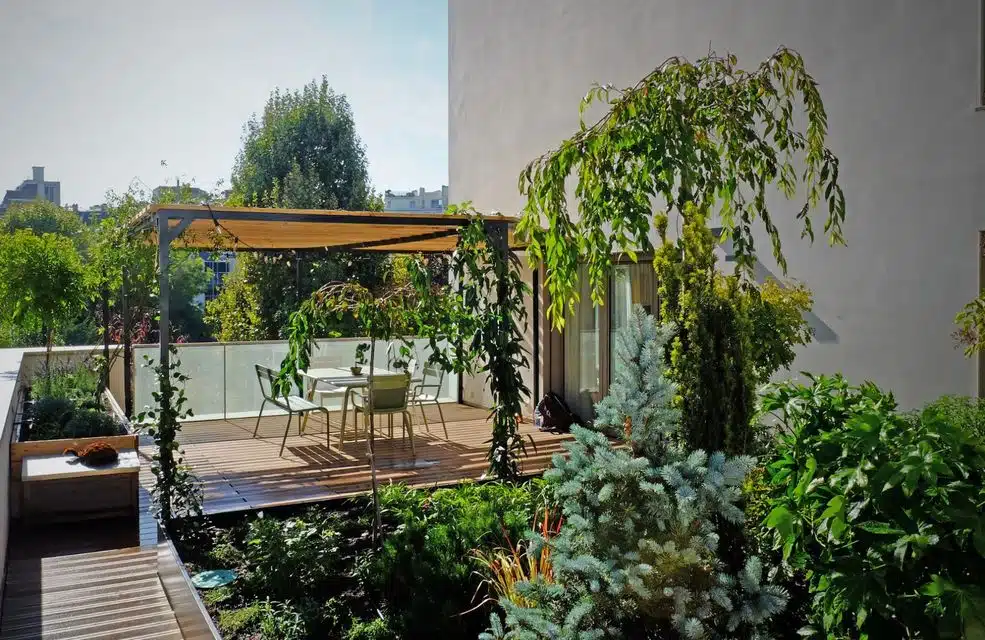 Transformer votre jardin avec une pergola végétalisée astuces et inspirations